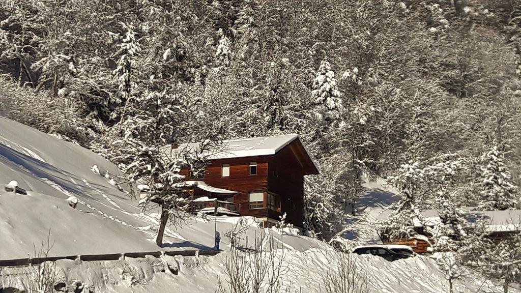 Апартаменты Haus Inge Санкт-Галленкирх Экстерьер фото